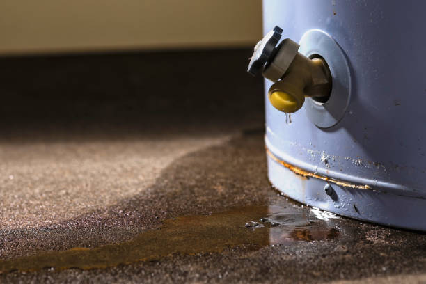 Best 24-hour water damage restoration  in Johnston, SC