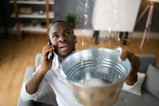 Best Flooded house restoration  in Johnston, SC