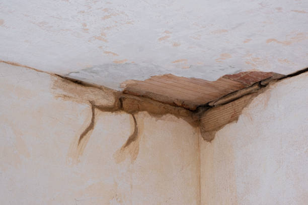 Best Ceiling water damage repair  in Johnston, SC