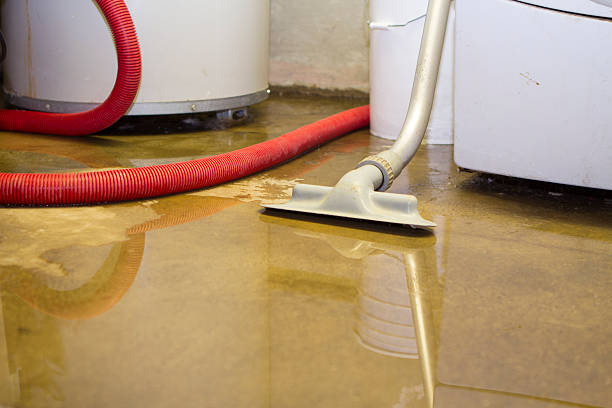 Best Carpet water damage restoration  in Johnston, SC