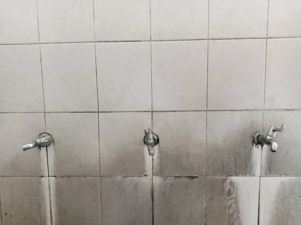 Best Flood damage cleanup  in Johnston, SC