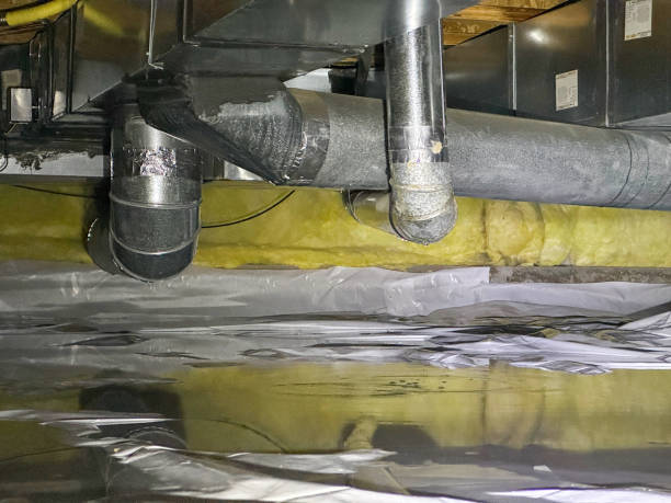 Best Mold removal after water damage  in Johnston, SC